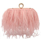 Feather Evening Clutch Vintage Banquet Handbag